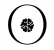 Brain Fog logo: Circle with brain image inside.